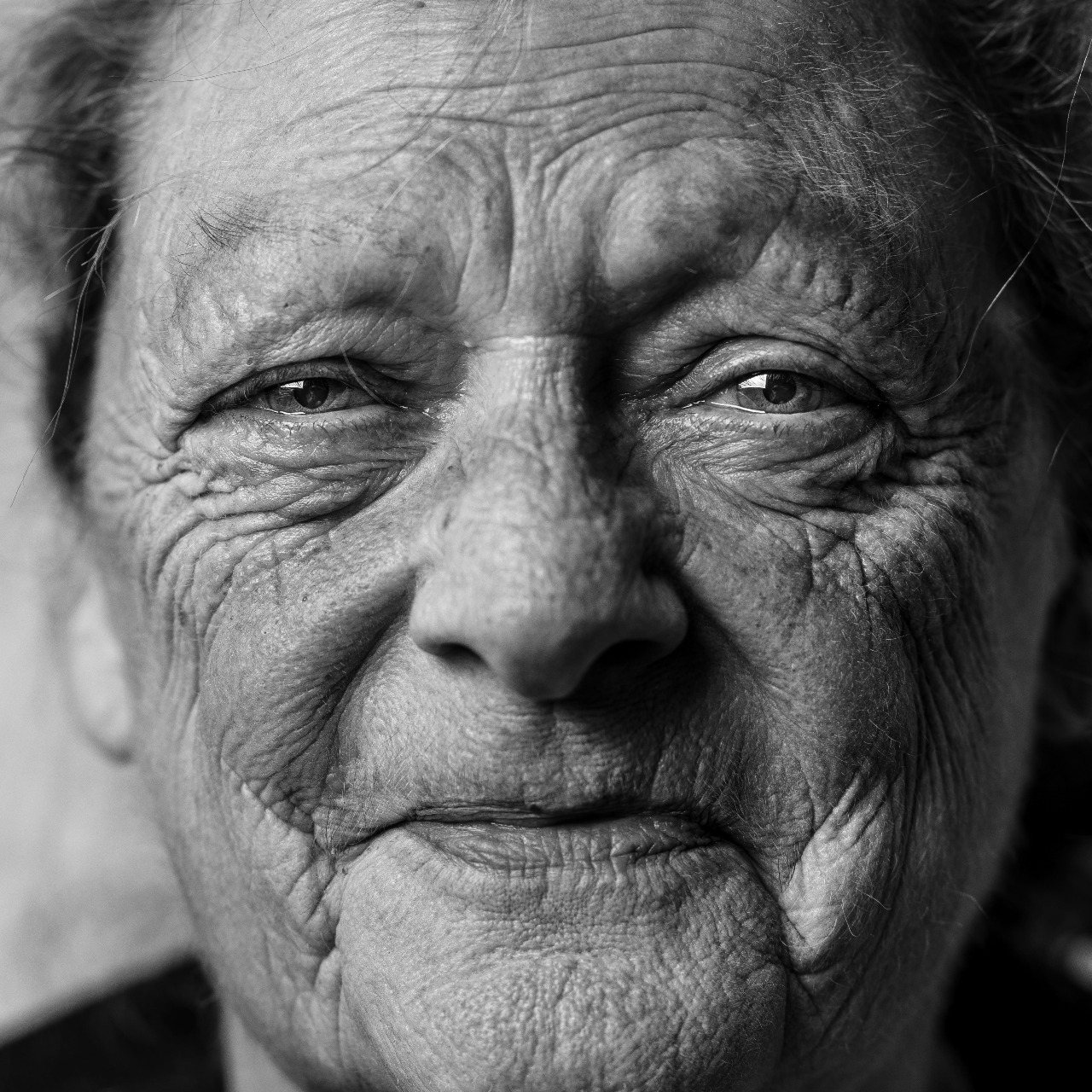 L'université et la formation des seniors : quel présent et quel avenir ?