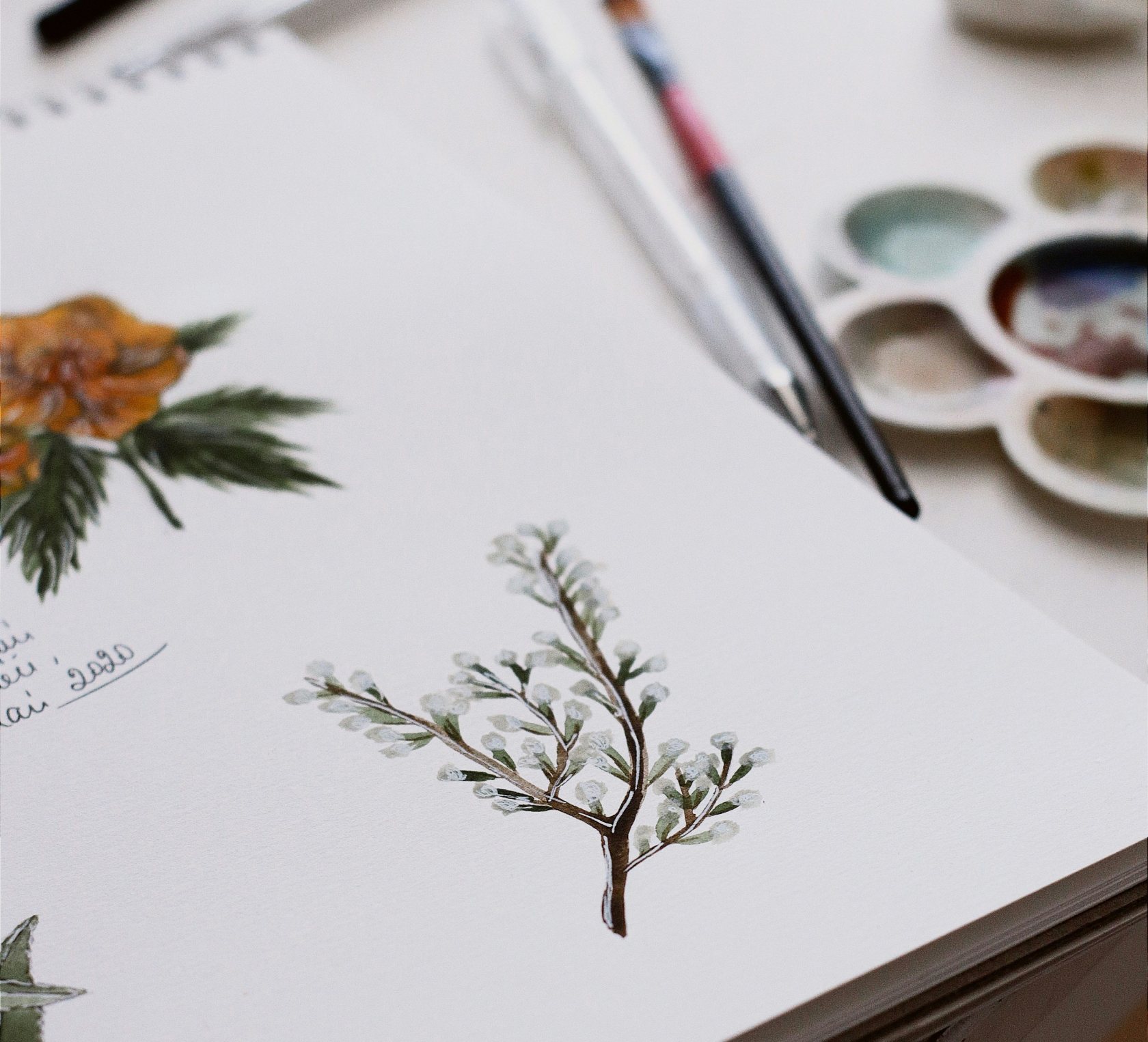 Dessin au jardin