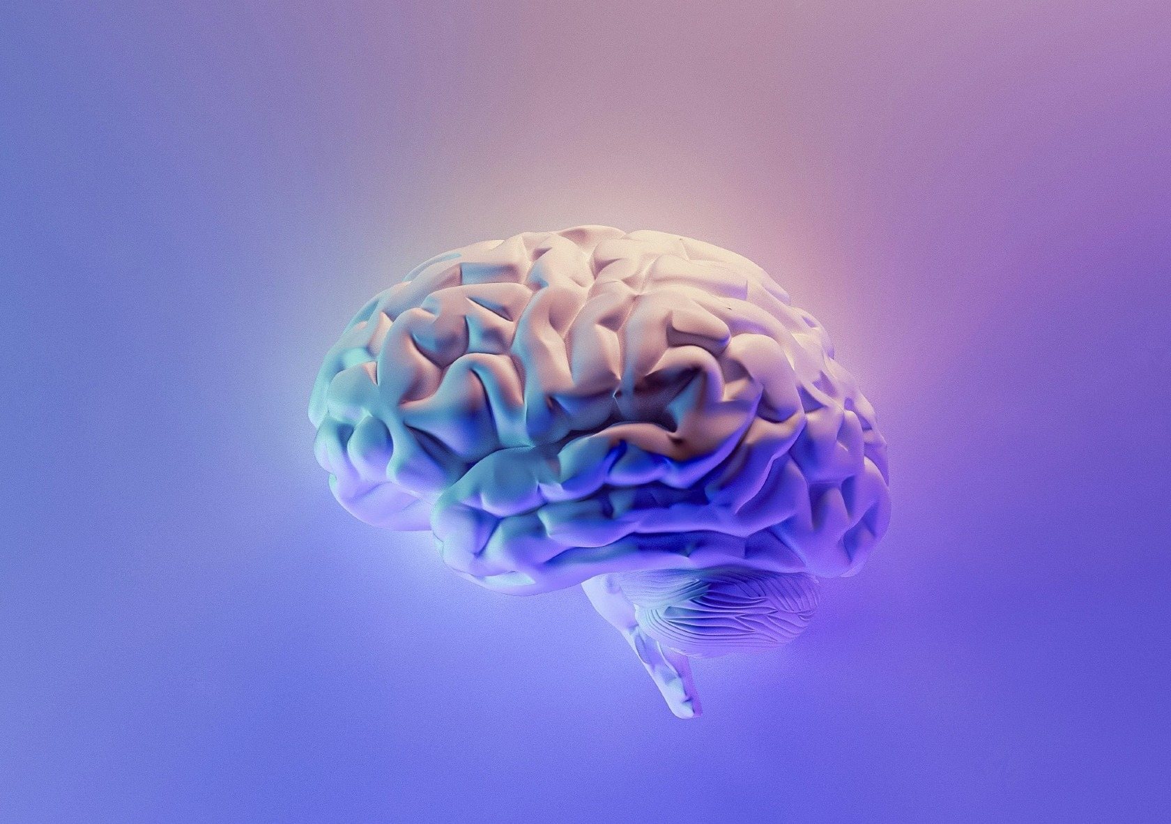 Le déclin cognitif : comment l'éviter et préserver sa santé cérébrale