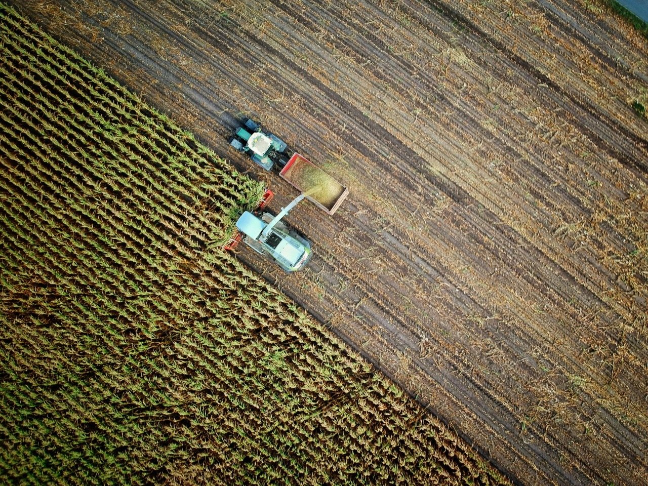 L'Europe et son agriculture : la PAC en question